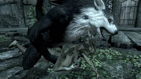 Skyrim Argonian Werewolf