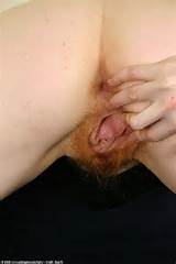 Hairy Porn Tubes Hairy Black Porn ATK Natural Hairy