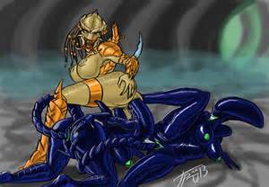 Alien Vs Predator Xenomorph Porn