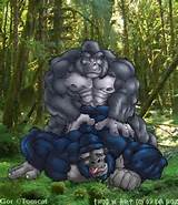 Abs Anal Anal Sex Anal Sex Ape Da Boz Furry Gay Gorilla Jungle Male