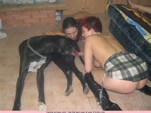 Ashley Blue Dog Porn - Animal Porn Gallery