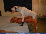 insane movies fuck horse animal mature sex clips teen sucks horse cock ...